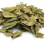 Dry Curry Leaves