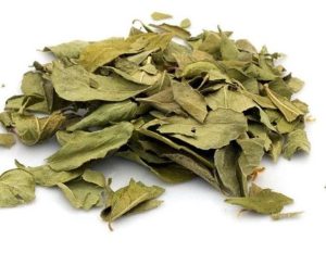 Dry Curry Leaves
