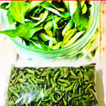 Dry Curry Leaves